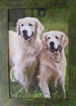 Coloured photo on canvas in the authorīs frame, 40x30 cm, photo Lubos Ton